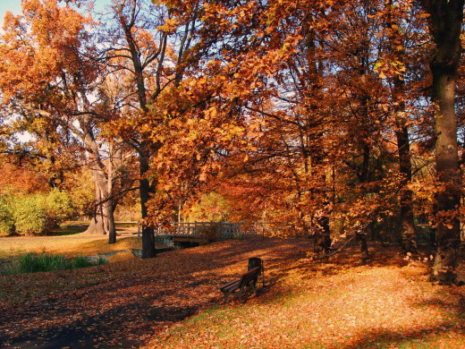1325336 (a): :2592x1944
